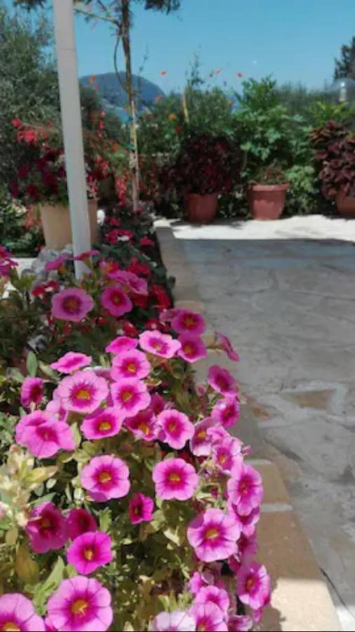 Armonia Apartments Corfu  外观 照片